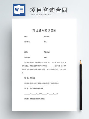 2025年咨詢(xún)顧問(wèn)行業(yè)市場(chǎng)深度分析報(bào)告